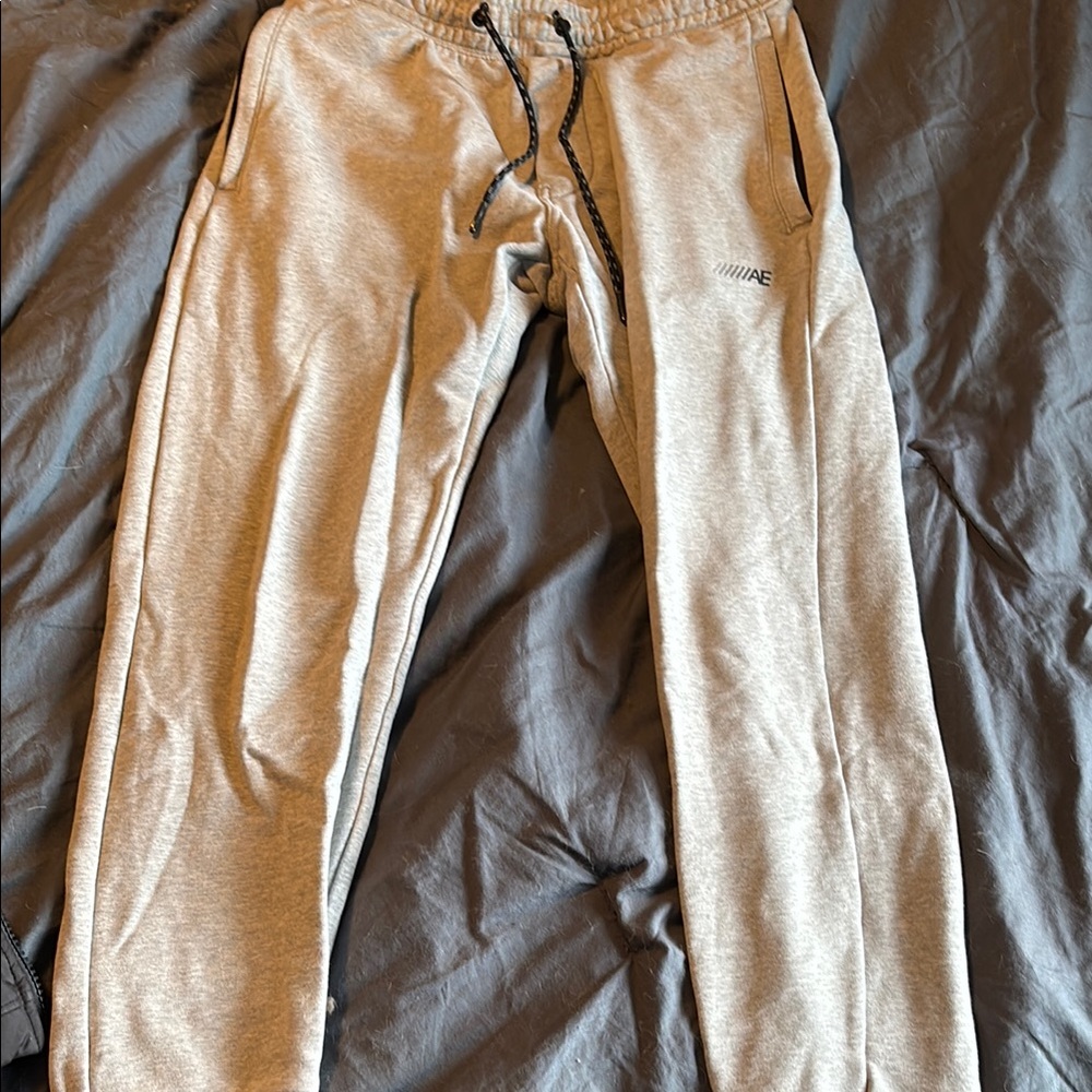 American Eagle Outfitters Gray Sweatpants Relaxed Fit